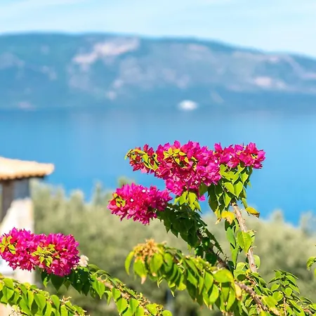 Thea 1h 50min From Athens Intl Airport Villa Kato Melidhoni