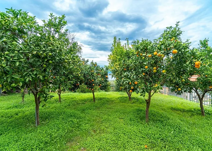 Thea 1h 50min From Athens Intl Airport * Kato Melidhoni